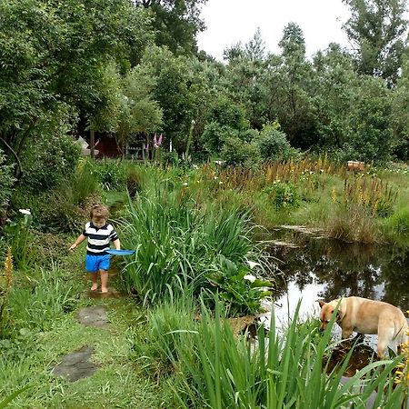 Boutique Vintage Forest Cabin Stormsrivier Eksteriør bilde