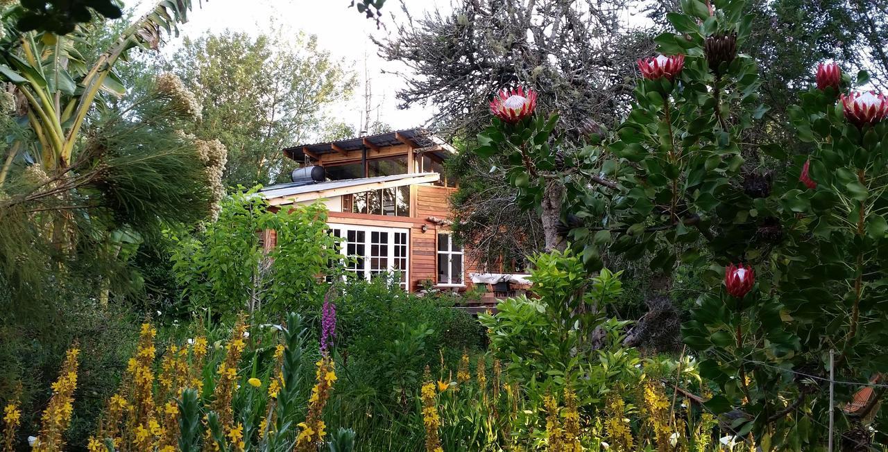 Boutique Vintage Forest Cabin Stormsrivier Eksteriør bilde