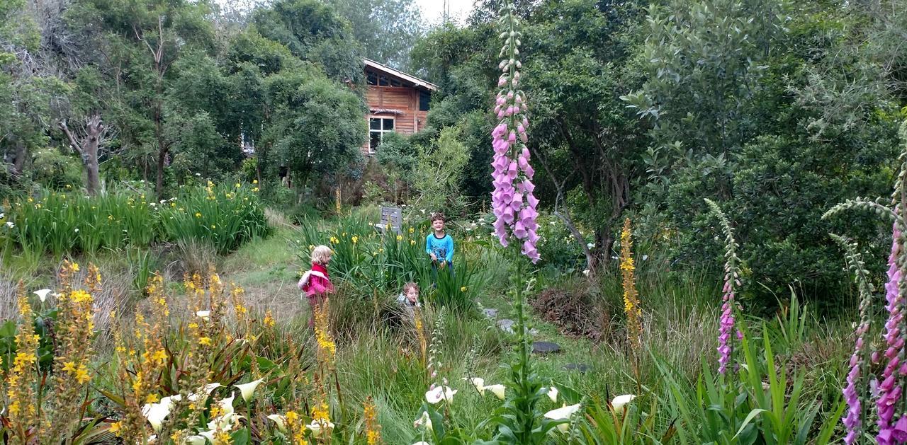 Boutique Vintage Forest Cabin Stormsrivier Eksteriør bilde